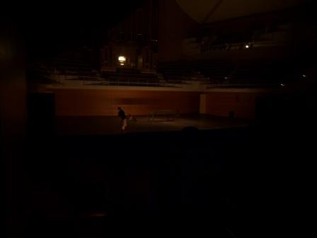 Under the marron tree.JPG